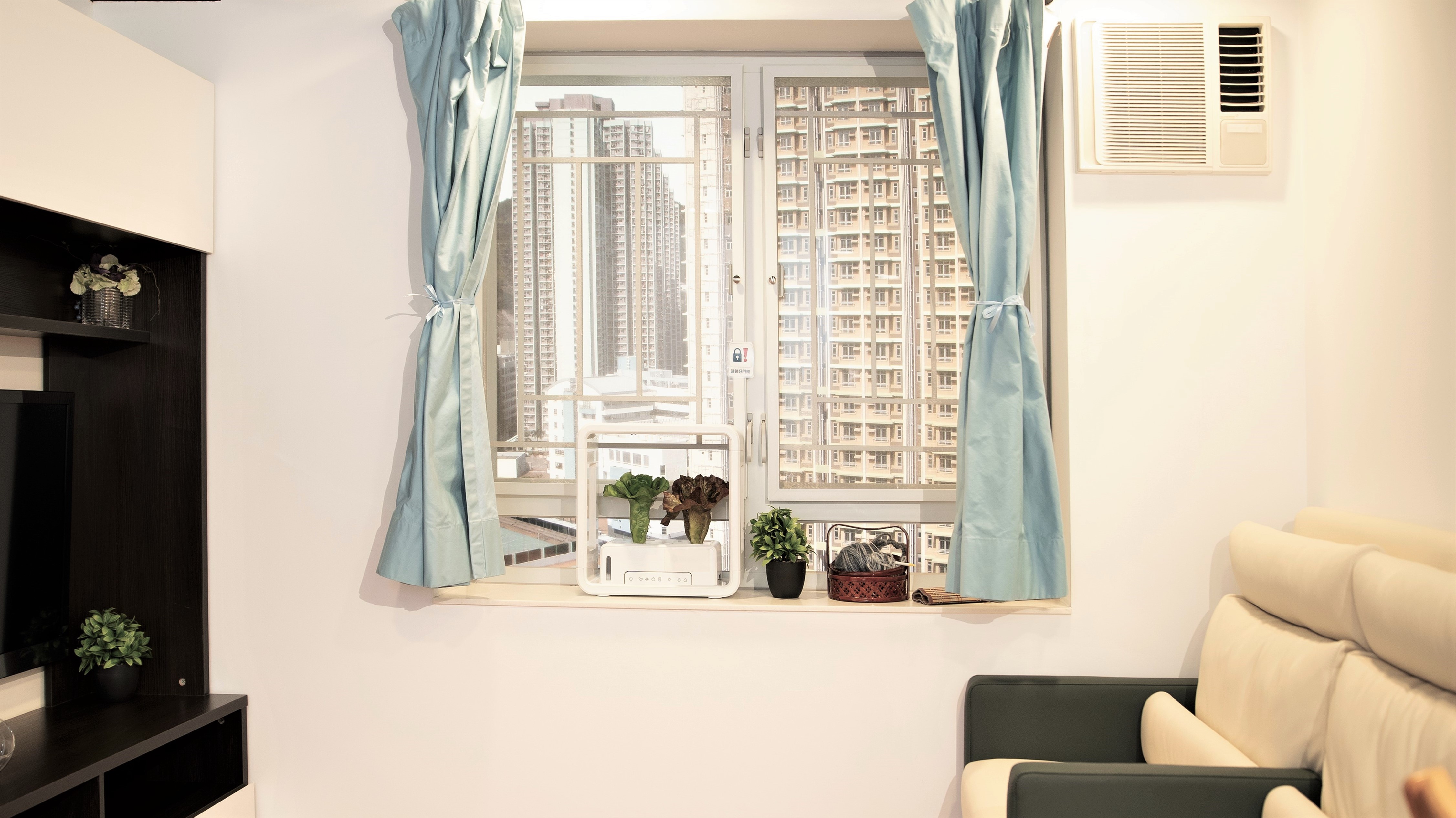 營造「智有所為」的環境-相片